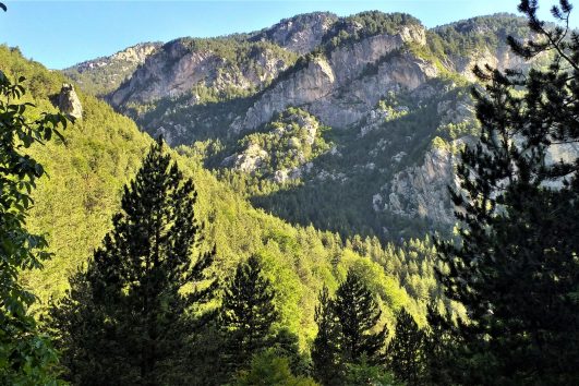Natural Beauty Tours
