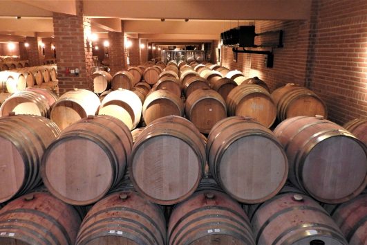 Wine Tours